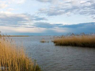 Gewerbeobjekt kaufen in 7072 Mörbisch