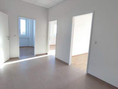 Büro / Praxis mieten in 2544 Leobersdorf (Bild 3)