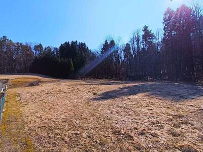 Grundstück kaufen in 8071 Hausmannstätten (Bild 3)