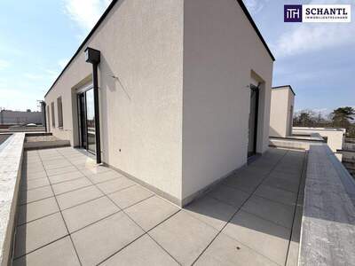 Terrassenwohnung kaufen in 1220 Wien (Bild 3)