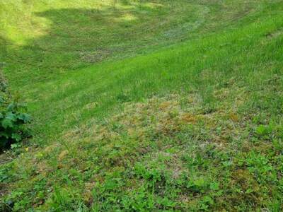 Grundstück kaufen in 4111 Walding (Bild 5)