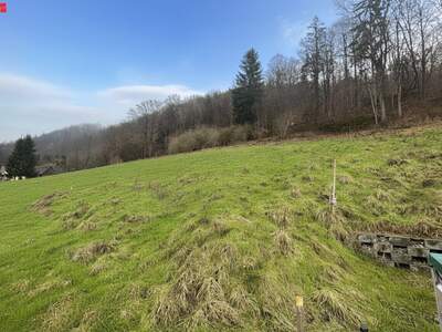 Grundstück kaufen in 8046 Stattegg