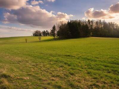 Grundstück kaufen in 3051 Almerberg