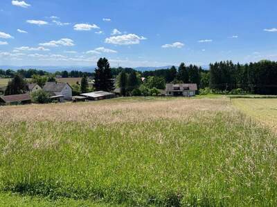 Grundstück kaufen in 8413 St. Georgen