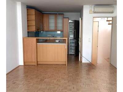 Terrassenwohnung mieten in 1100 Wien (Bild 3)