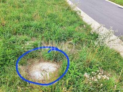 Grundstück kaufen in 4063 Hörsching (Bild 3)