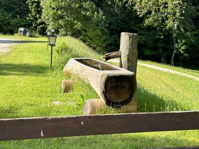 Anlageobjekt kaufen in 9135 Bad Eisenkappel (Bild 3)