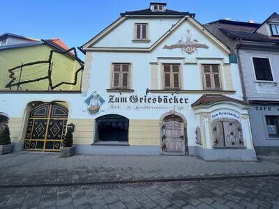 Gewerbeobjekt mieten in 8020 Graz (Bild 1)