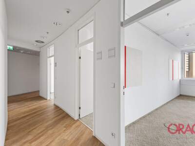 Gewerbeobjekt mieten in 1220 Wien (Bild 5)