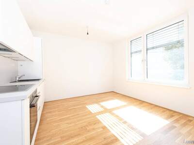 Wohnung mieten in 8020 Graz