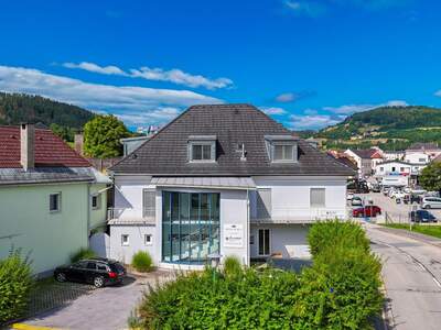 Gewerbeobjekt mieten in 9100 Völkermarkt (Bild 1)