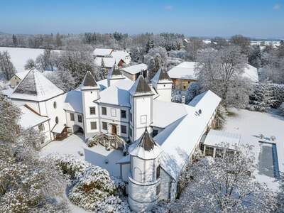 Schloss kaufen in 4693 Desselbrunn (Bild 5)