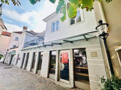 Haus kaufen in 2700 Wiener Neustadt