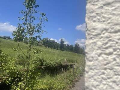 Haus kaufen in 4202 Kirchschlag