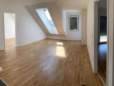 Wohnung provisionsfrei mieten in 2020 Hollabrunn