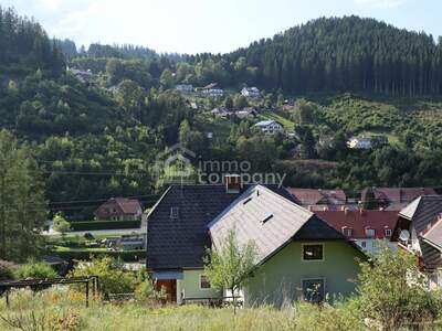 Haus kaufen in 8673 Sankt Jakob