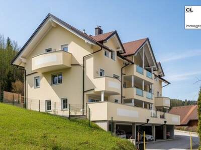 Mietwohnung in 4866 Unterach