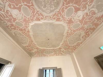 Gewerbeobjekt mieten in 8010 Graz (Bild 5)