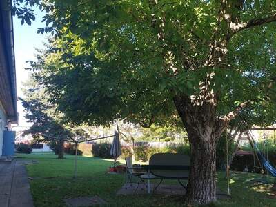 Wohnung mieten in 8010 Graz