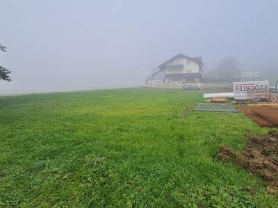 Grundstück kaufen in 4441 Behamberg (Bild 3)