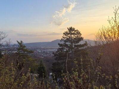 Grundstück kaufen in 2103 Langenzersdorf (Bild 1)