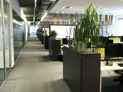 Gewerbeobjekt mieten in 4020 Linz (Bild 4)