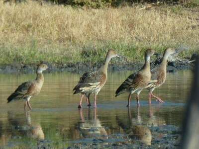 Wohnung provisionsfrei kaufen in 5020 Salzburg