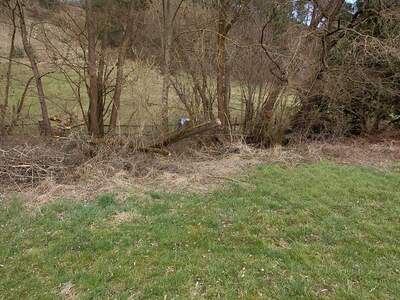 Grundstück kaufen in 2803 Schwarzenbach (Bild 3)