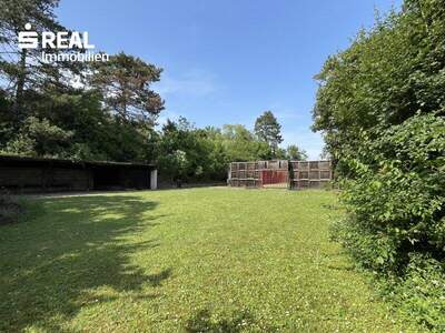 Grundstück kaufen in 7100 Neusiedl (Bild 5)