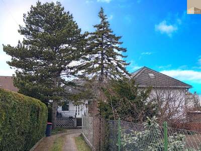 Haus kaufen in 2542 Kottingbrunn