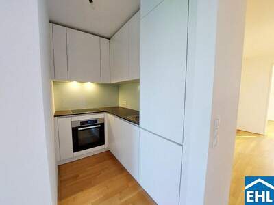 Terrassenwohnung mieten in 1160 Wien (Bild 4)