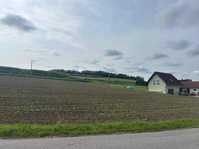 Grundstück kaufen in 4631 Krenglbach