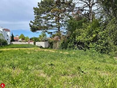 Grundstück kaufen in 2431 Enzersdorf