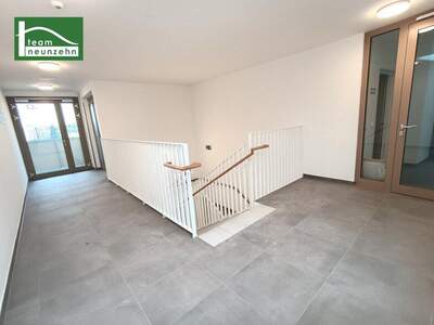Terrassenwohnung mieten in 3100 St. Pölten (Bild 5)