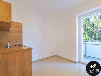 Terrassenwohnung kaufen in 8020 Graz (Bild 2)