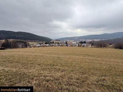 Grundstück kaufen in 2732 Oberhöflein (Bild 1)