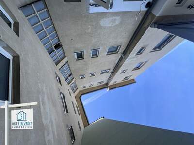 Anlageobjekt kaufen in 2700 Wiener Neustadt (Bild 4)