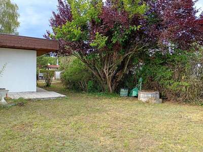 Ferienhaus kaufen in 7061 Trausdorf (Bild 4)