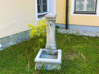 Anlageobjekt kaufen in 8960 Öblarn (Bild 3)