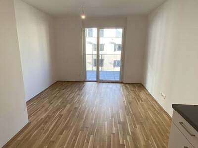 Terrassenwohnung mieten in 1220 Wien (Bild 3)