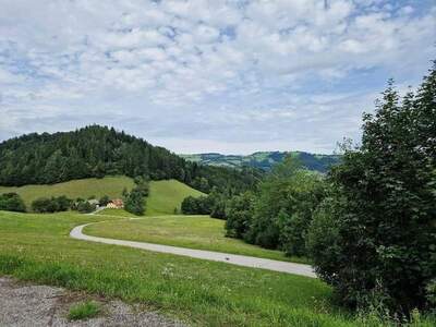 Gewerbeobjekt kaufen in 3213 Frankenfels