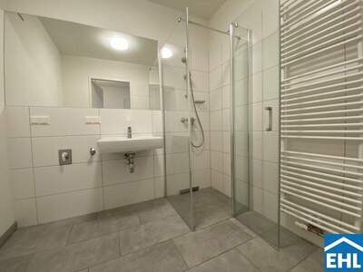 Terrassenwohnung mieten in 1020 Wien (Bild 5)