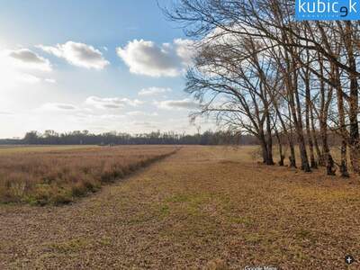 Gewerbeobjekt kaufen in 1220 Wien