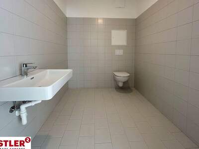 Gewerbeobjekt mieten in 2340 Mödling (Bild 5)