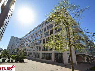 Mietwohnung in 4020 Linz (Bild 1)