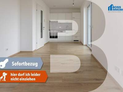 Wohnung mieten in 4050 Traun