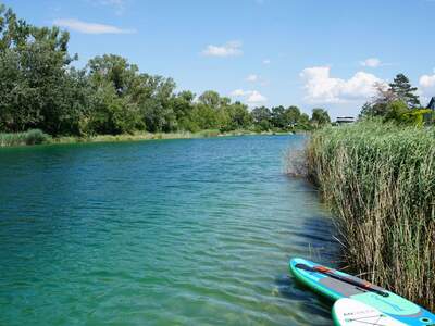 Haus mit Garten kaufen in 1220 Wien (Bild 5)