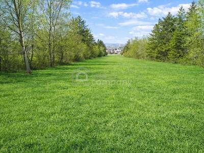 Grundstück kaufen in 2452 Mannersdorf