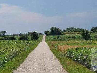 Gewerbeobjekt kaufen in 4773 Nahe Schärding