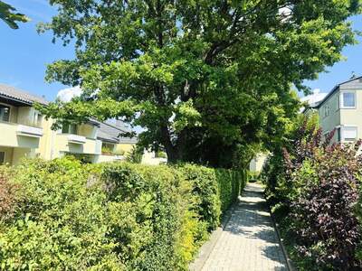 Eigentumswohnung in 1230 Wien